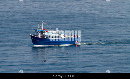 Tourenboot mit Passagieren auf ruhigen blauen Wasser der Nordsee Überschrift, Farne Islands in der Nähe von englischen Küsten Dorf der gemeinsame Stockfoto