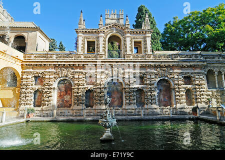 Mercurio Teich, Jardines del Alcazar, Alcazar, Königspalast, Sevilla, Andalusien, Spanien Stockfoto