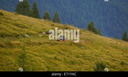 ATVs in schönen Landschaften fahren. Stockfoto