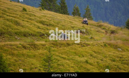 ATVs in schönen Landschaften fahren. Stockfoto