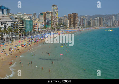 Badegäste vor den großen Hotels auf Playa Levante, Benidorm, Costa Blanca, Spanien-Strand Stockfoto