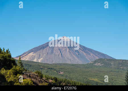 Mt Pico del Teide, 3718m, mit einem Kiefernwald an der Front, Parque Nacional de Las Cañadas del Teide Nationalpark Teide Stockfoto