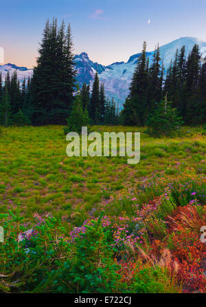 Dämmerung im Paradise valley Stockfoto