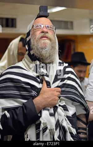 Porträt eines extrem religiösen jüdischen Mannes im innigen Gebet am Morgen Dienstleistungen in einer Synagoge in Brooklyn, New York Stockfoto