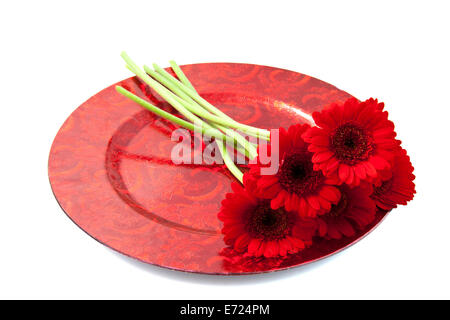 Fünf rote Gerbera auf einer roten Platte über weiß Stockfoto