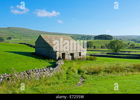 Feld Scheunen in der Nähe von Hawes, Wensleydale, Yorkshire Dales National Park, North Yorkshire, England UK Stockfoto