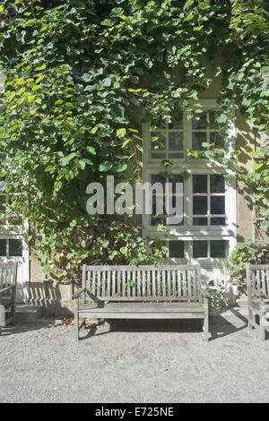 Klettern Reben von Efeu an einem Haus mit Holzbank Stockfoto