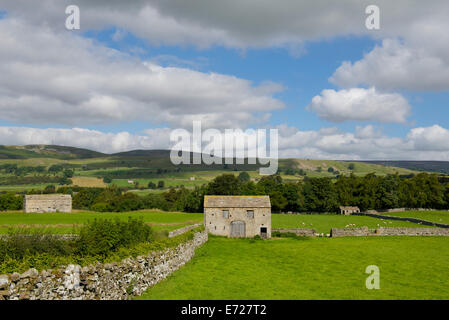 Feld Scheunen in der Nähe von Dorf Aysgarth, Wensleydale, Yorkshire Dales National Park, North Yorkshire, England UK Stockfoto