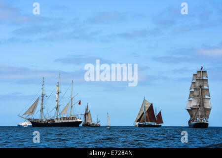 Großsegler, Falmouth August 2014 Stockfoto