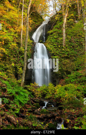 Herbstliche Farben des Oirase Fluss, befindet sich in der Präfektur Aomori Japan Stockfoto