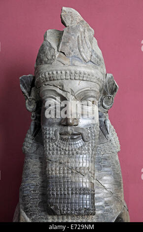 Büste von der archäologischen Stätte von Persepolis, Nationalmuseum, Teheran, Provinz Teheran, Persien, Iran Stockfoto