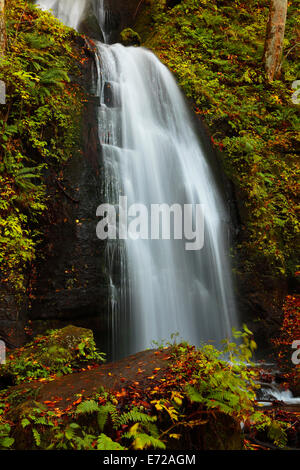 Herbstliche Farben des Oirase Fluss, befindet sich in der Präfektur Aomori Japan Stockfoto