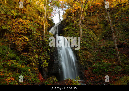 Herbstliche Farben des Oirase Fluss, befindet sich in der Präfektur Aomori Japan Stockfoto