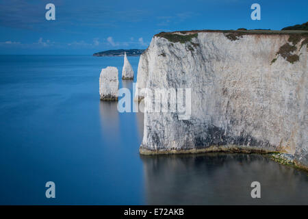 Vor Dämmerung an der weißen Klippen und Harry Felsen am Studland, Isle of Purbeck, Jurassic Coast, Dorset, England Stockfoto