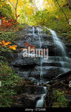 Herbstliche Farben des Oirase Fluss, befindet sich in der Präfektur Aomori Japan Stockfoto