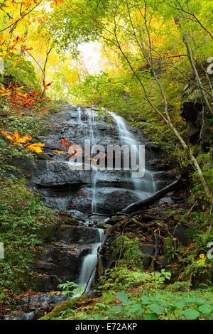 Herbstliche Farben des Oirase Fluss, befindet sich in der Präfektur Aomori Japan Stockfoto