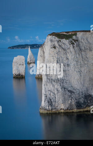 Vor Dämmerung an der weißen Klippen und Harry Felsen am Studland, Isle of Purbeck, Jurassic Coast, Dorset, England Stockfoto