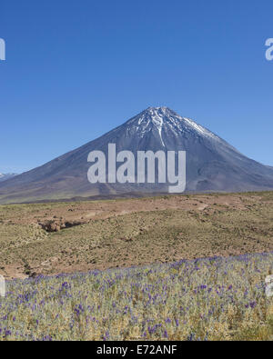 Licancabur Vulkan, San Pedro de Atacama Antofagasta Region, Chile Stockfoto