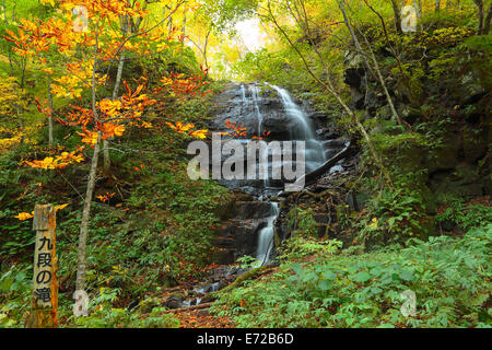 Herbstliche Farben des Oirase Fluss, befindet sich in der Präfektur Aomori Japan Stockfoto