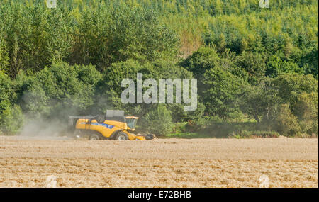 KOMBINIEREN SIE HARVESTER-ABERDEENSHIRE-SCHOTTLAND MÄHEN UND HEBEN DEN STAUB VON GERSTENFELDERN Stockfoto