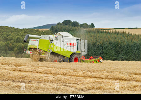 KOMBINIEREN SIE HARVESTER-ABERDEENSHIRE-SCHOTTLAND MIT STROH GIEßEN AUS DER RÜCKSEITE DER MASCHINE Stockfoto