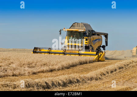 KOMBINIEREN SIE HARVESTER-ABERDEENSHIRE-SCHOTTLAND ABSCHLUSS DAS MÄHEN IN EINEM GERSTENFELD Stockfoto