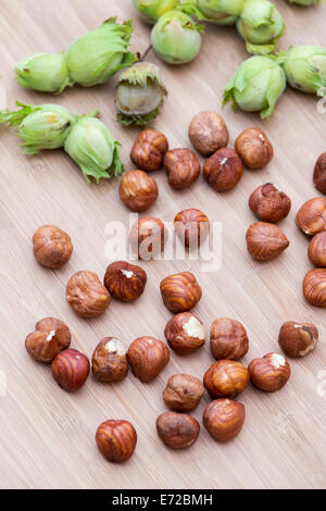 Haselnüsse / Cobnuts auf Holz Stockfoto