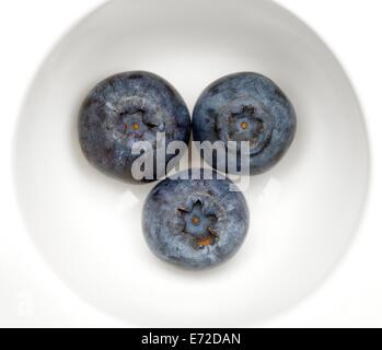 3 Heidelbeeren Stockfoto