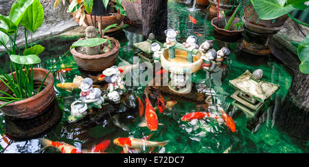 Koi-Karpfen schwimmen im Wasser-Garten Stockfoto