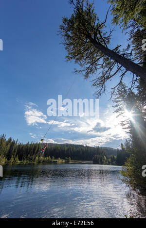 Ein Baum-Seil abspringen an einem Sommertag am Champion Lakes Provincial Park, Britisch-Kolumbien, Kanada (MR). Stockfoto