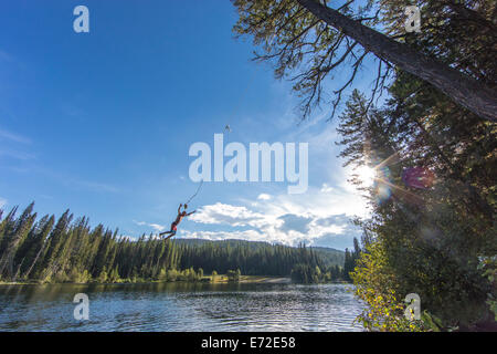 Ein Baum-Seil abspringen an einem Sommertag am Champion Lakes Provincial Park, Britisch-Kolumbien, Kanada (MR). Stockfoto