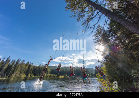 Ein Baum-Seil abspringen an einem Sommertag am Champion Lakes Provincial Park, Britisch-Kolumbien, Kanada (MR). Stockfoto