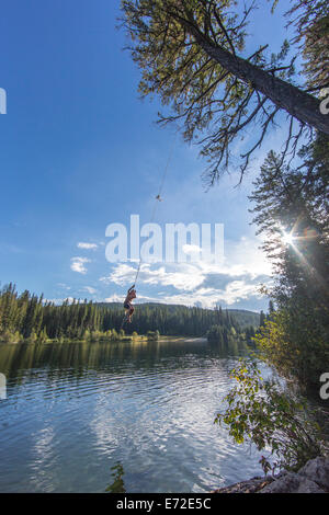 Ein Baum-Seil abspringen an einem Sommertag am Champion Lakes Provincial Park, Britisch-Kolumbien, Kanada (MR). Stockfoto