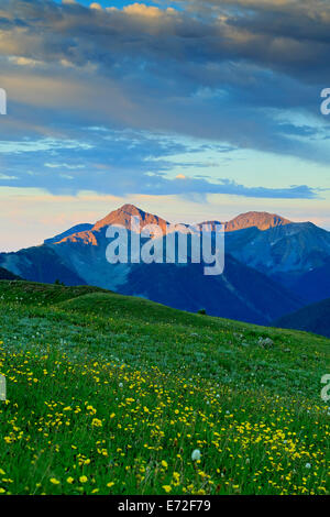 Blick auf Berge und Wildblumen von oben US-Becken, San Juan Mountains in der Nähe von Silverton, Colorado USA Stockfoto