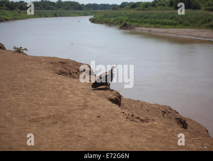 Omo Fluss Banken, Kangate, Omo-Tal, Äthiopien Stockfoto