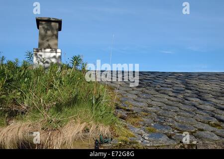 halb begrünt Dach mit Kamin in Norwegen Stockfoto