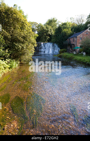 Rutter Force Wasserfall auf dem Hoff Beck südlich von Appleby in Westmorland, Cumbria UK Stockfoto