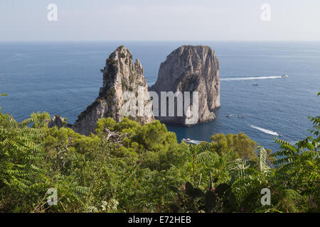 Blick nach Süden über die Insel Scoglio del Monacone von der schönen Insel Capri, Italien. Stockfoto