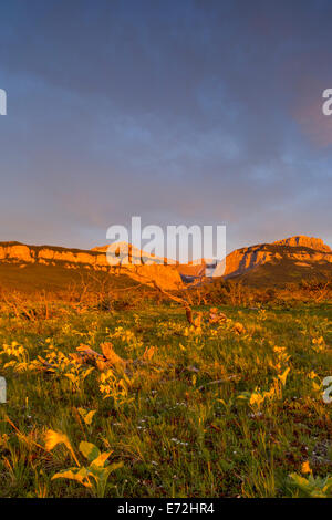 Sunrise leuchtet Blackleaf Canyon entlang der Rocky Mountain Front in der Lewis und Clark National Forest in Montana, USA. Stockfoto