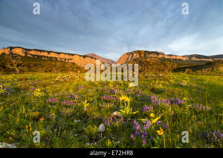 Sunrise leuchtet Blackleaf Canyon entlang der Rocky Mountain Front in der Lewis und Clark National Forest in Montana, USA. Stockfoto