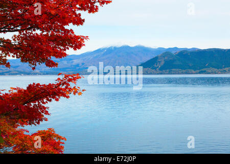 Blätter im Herbst und den See Tazawa, Akita Präfektur Stockfoto