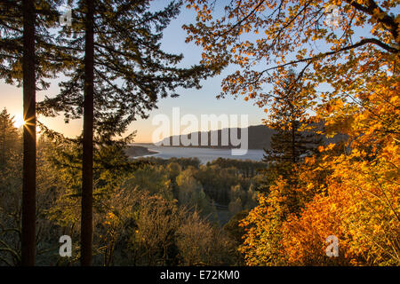 Setzen Sonne leuchtet Herbstfarbe, mit Blick auf den Columbia River in den Columbia Gorge National Scenic Area, Oregon, USA. Stockfoto