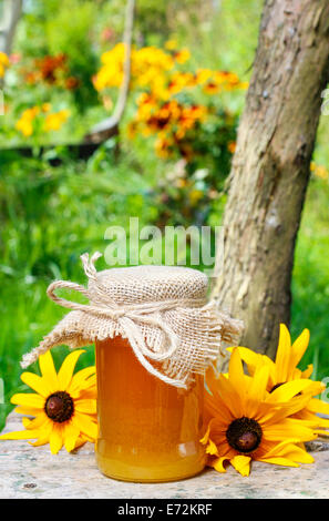Glas mit Honig und schöne Sonnenblumen im Garten. Gesunde Ernährung Stockfoto