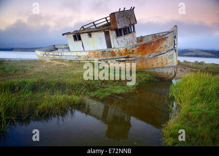 Point Reyes hat mehr seetüchtig Tage gesehen, aber sie ist immer noch eine Schönheit. Bei Sonnenuntergang mit schönen niedrigen Nebel aufgenommen. Stockfoto