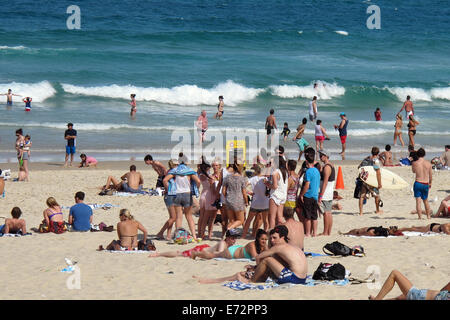 Besucher genießen die Sonne Strand und Surfen Surfers Paradise Beach an der Gold Coast Australien Stockfoto