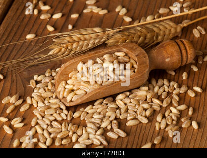 Ländliches Motiv mit Getreide und Ähren auf hölzernen Hintergrund. Stockfoto