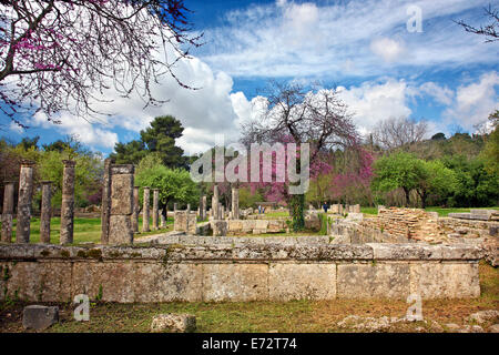 Die Palästra im antiken Olympia, der Geburtsstätte der Olympischen Spiele, Ilia, Peloponnes, Griechenland. Stockfoto