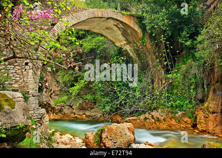 Alte Stein gewölbten Brücke über Neda Fluss in Neda Schlucht, an den "Grenzen" der & Ilia Messinia, Peloponnes, Griechenland Stockfoto