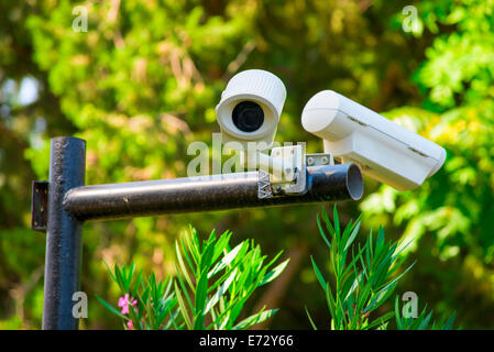 Zwei Überwachungskameras im Stadtpark Stockfoto