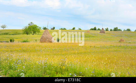 Ein Stapel von Heu in Maramures, Rumänien Stockfoto